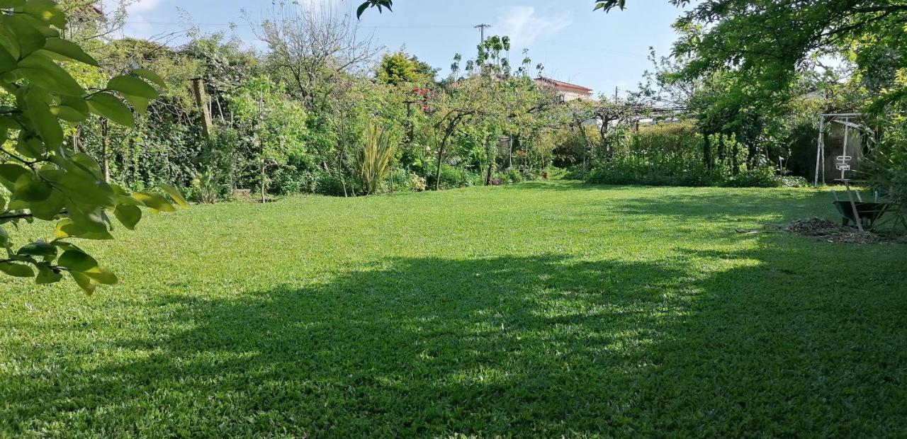 فيلا Casa Landim المظهر الخارجي الصورة